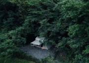 浙江遇见杉谷露营基地