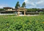 惠州小径生态园基地