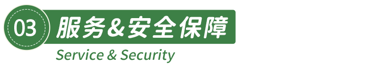 标题绿04