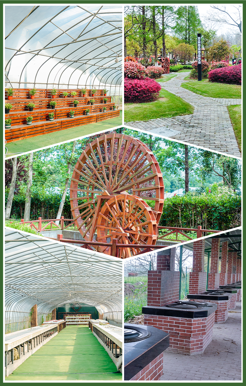 营地环境 营地环境