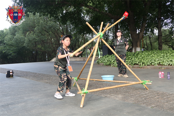 夏令营341