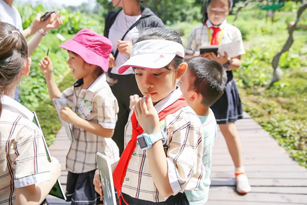 广西夏令营哪家专业