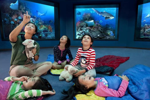 新加坡幼儿园夏令营费用多少钱