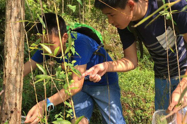 成都小学生游学夏令营