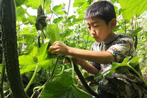 儿童野外军训夏令营