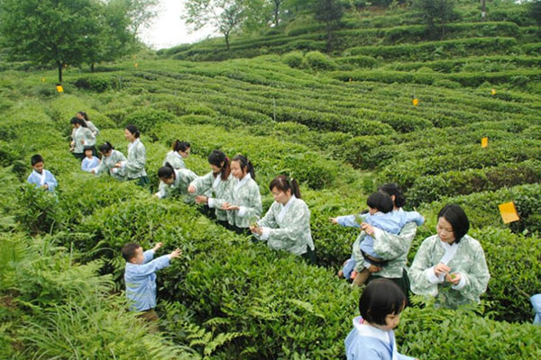 成都国学夏令营