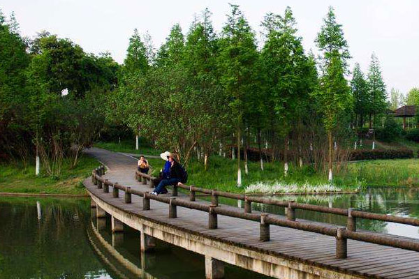 长沙植物园夏令营价格
