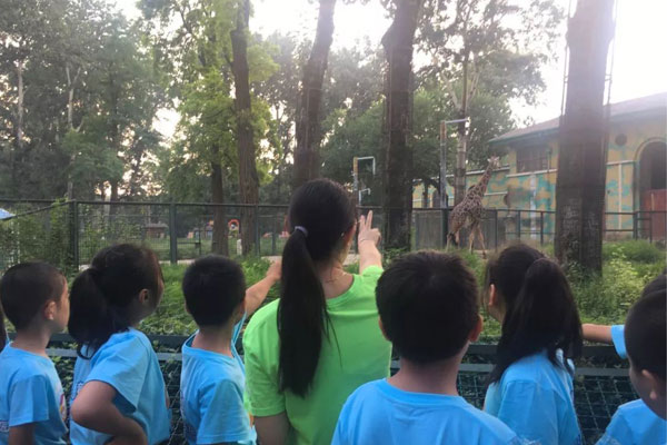 深圳夏令营哪家好