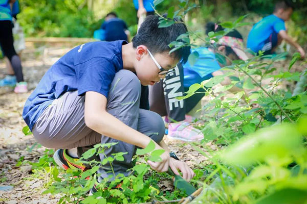 小学生暑假赴香港夏令营需要多少钱