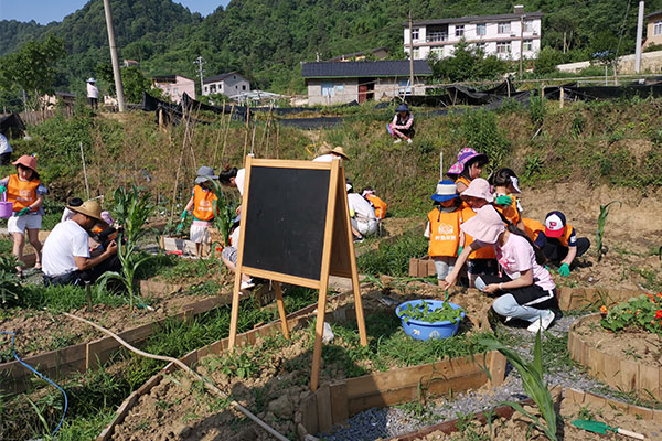 青岛夏令营