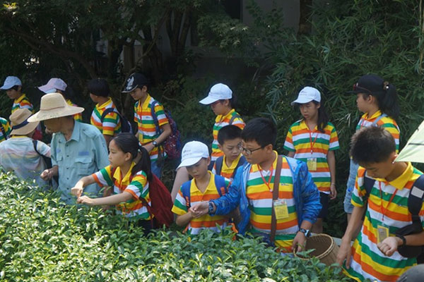 重庆夏令营机构收费