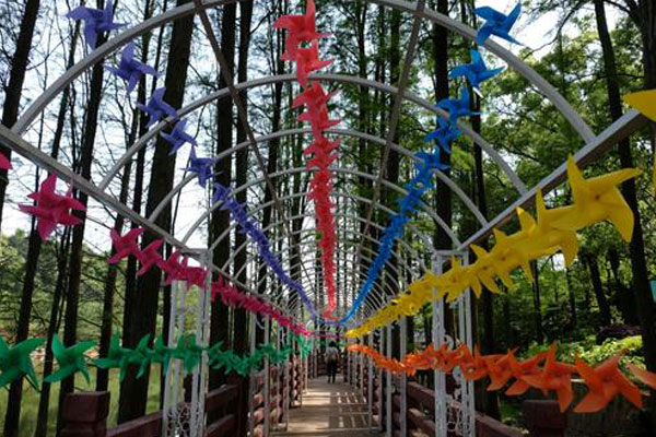 长沙植物园夏令营价格