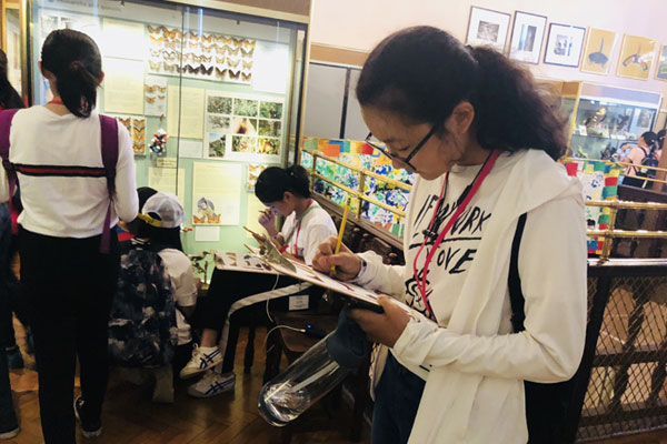 北京英语游学夏令营