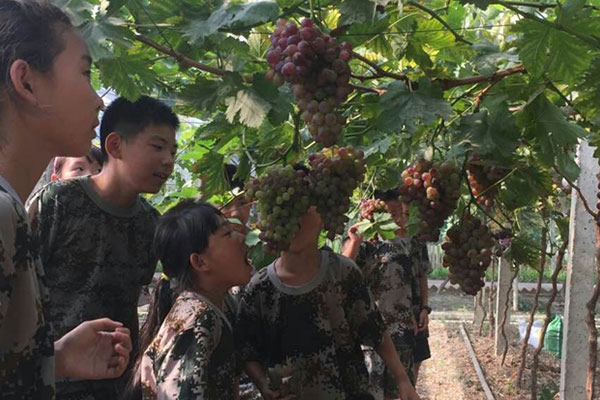 濮阳中小学生夏令营