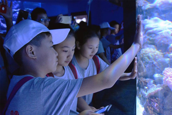 上海旅游夏令营