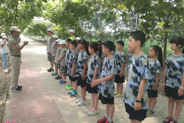 中学生夏令营