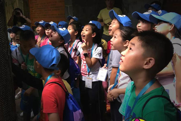 北京小学生游学夏令营