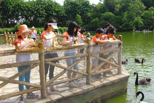 汉中暑假夏令营