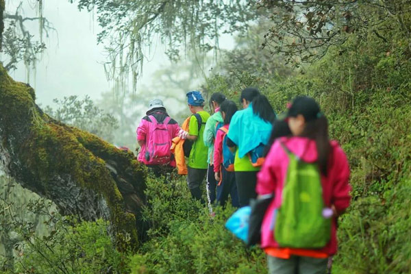 重庆少儿夏令营活动费用